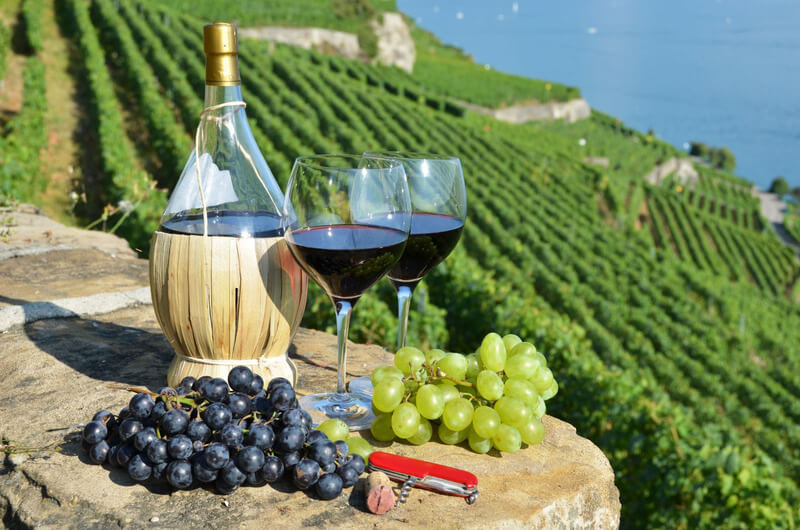Giá rượu vang Ý nhập khẩu chính hãng