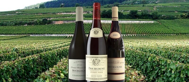 Rượu vang được sản xuất rộng rãi trên thế giới
