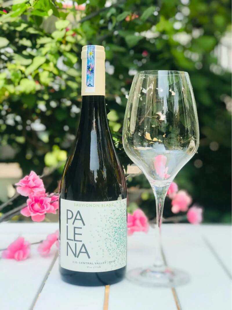 Vang Trắng Chile Palena Sauvignon Blanc ngon giá dưới 500k