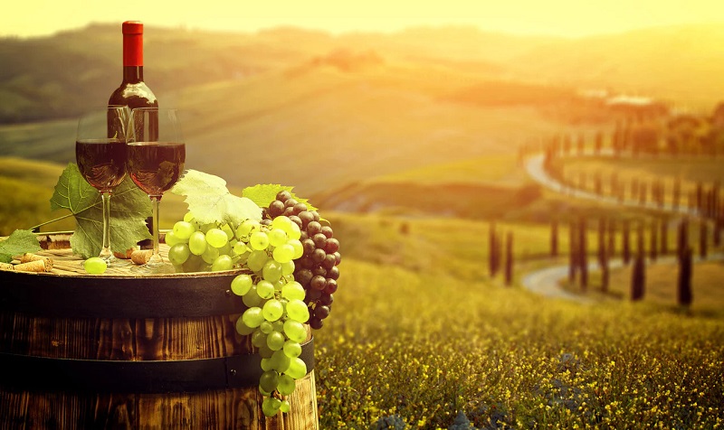 Rượu vang được sản xuất từ những nho thượng hạng