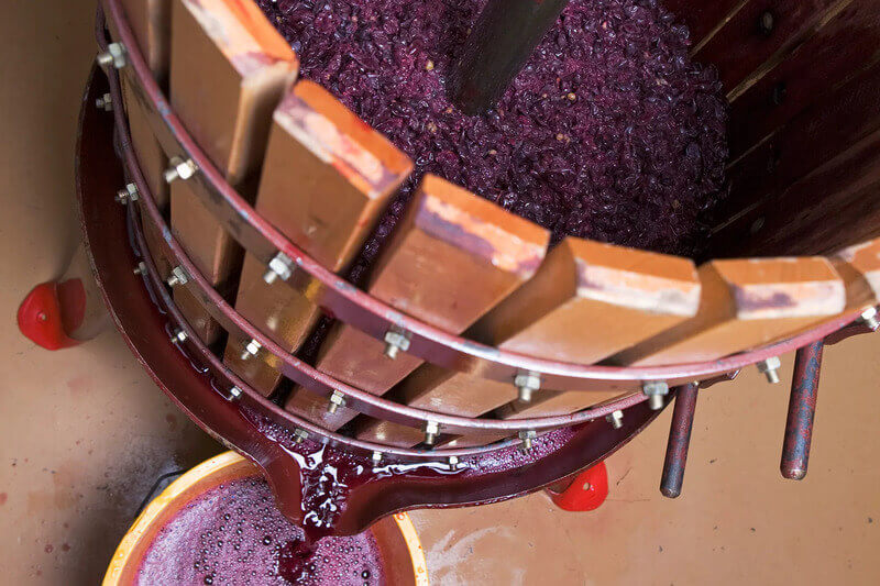 Quá trình nghiền ép rượu vang đỏ