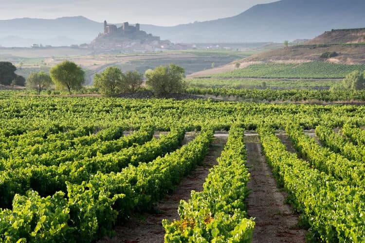 rượu vang Tây Ban Nha nhập khẩu chính hãng
