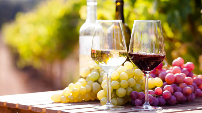 Màu sắc đặc trưng của rượu vang trắng và rượu vang đỏ