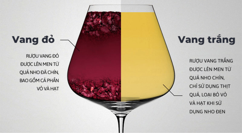 Bộ phận nho sử dụng làm rượu vang trắng và đỏ