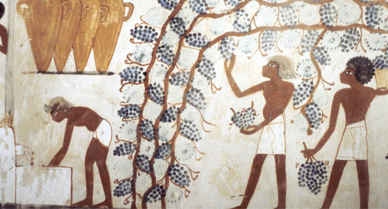 Văn hóa rượu vang cổ đại