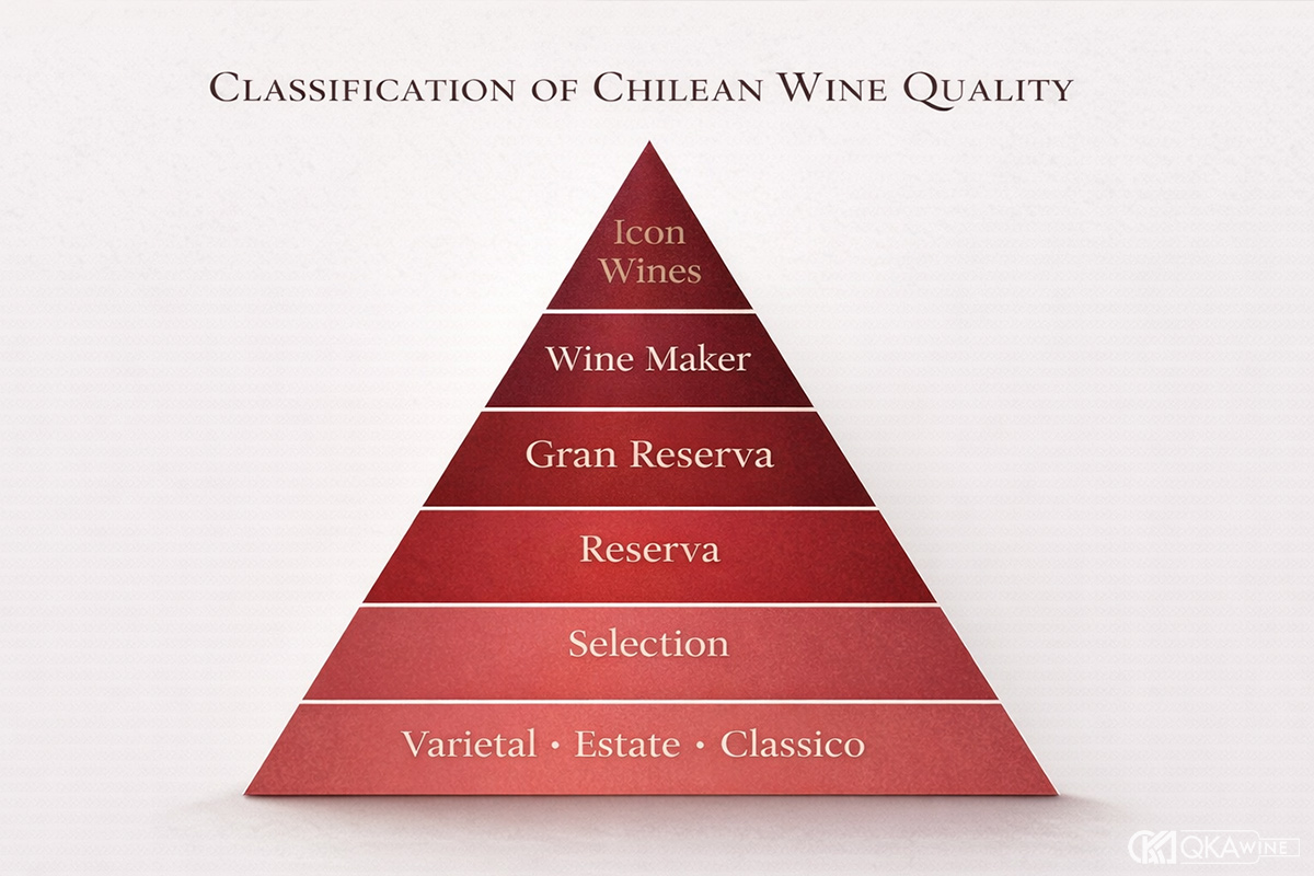 Các cấp độ rượu vang Chile phổ biến