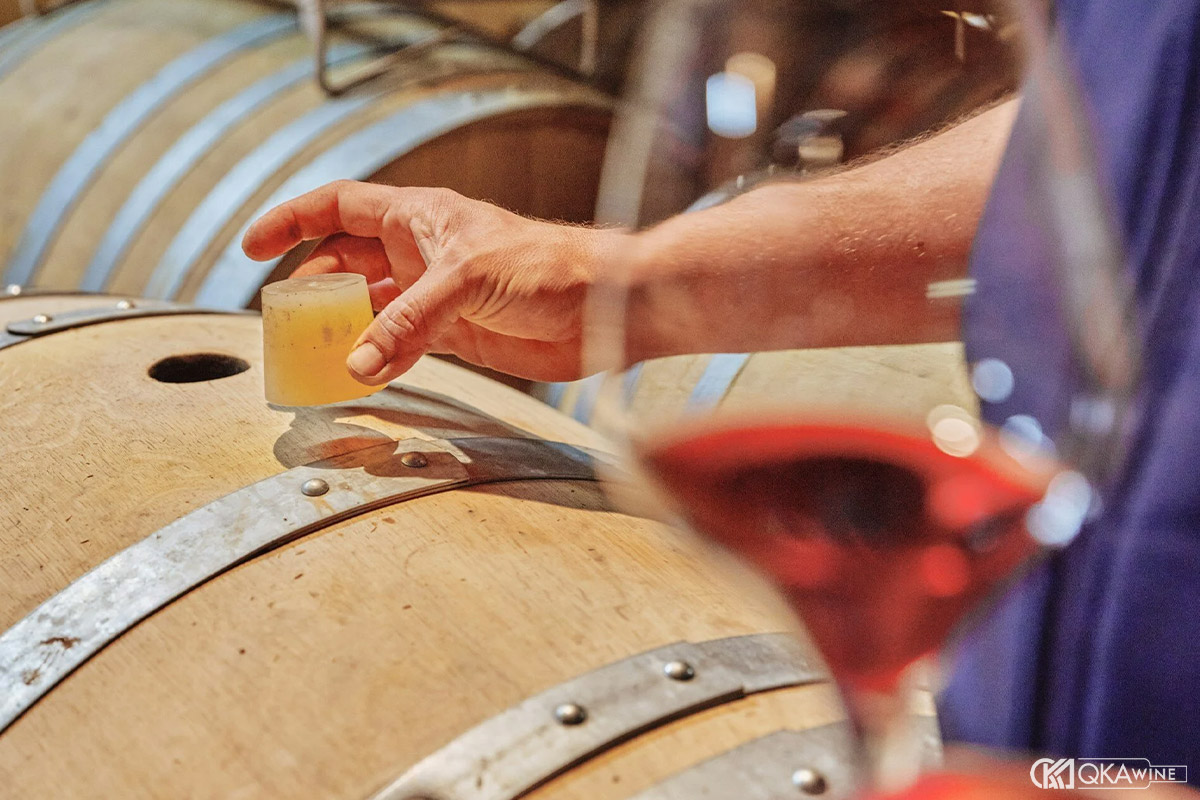 Các khoáng chất trong rượu vang