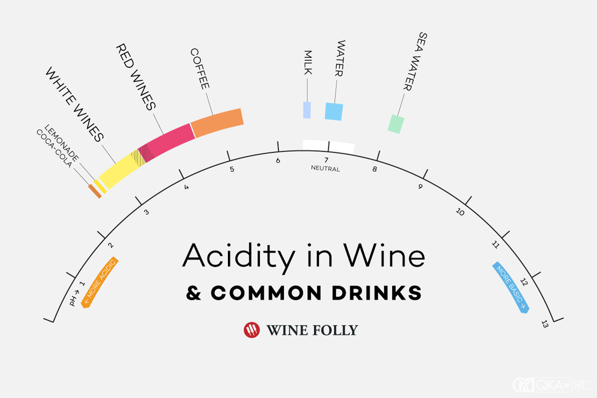 Các loại acid trong rượu vang