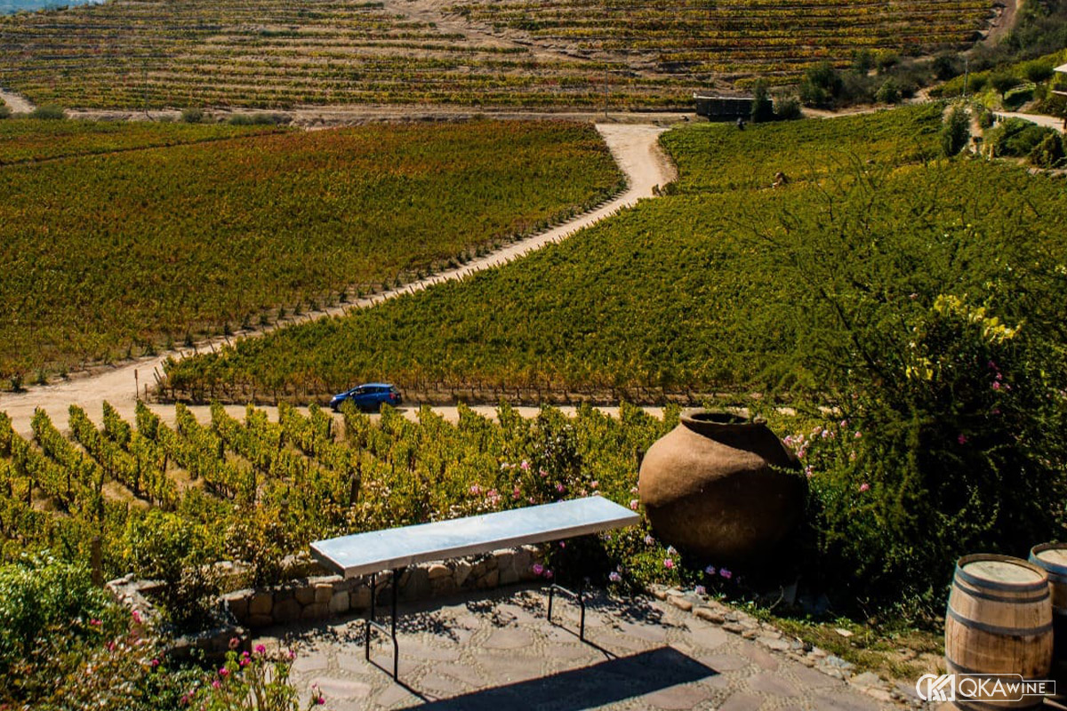 Các vùng sản rượu vang Chile nổi tiếng