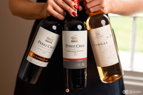 Cách chọn rượu vang Chile