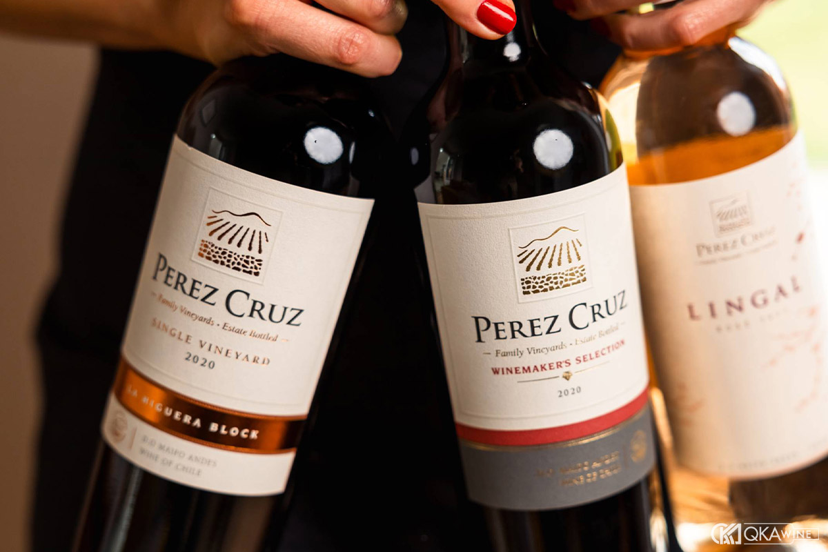 Cách chọn rượu vang Chile ngon cho bữa tiệc