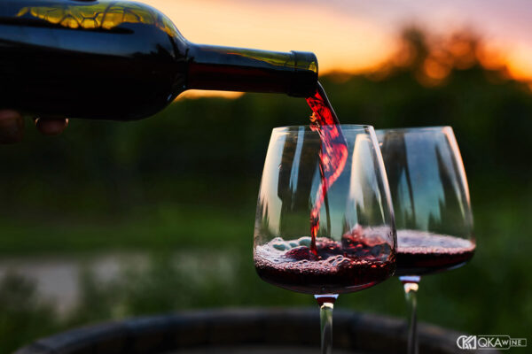 Cách chọn rượu vang đỏ ngon nhất cho người mới bắt đầu