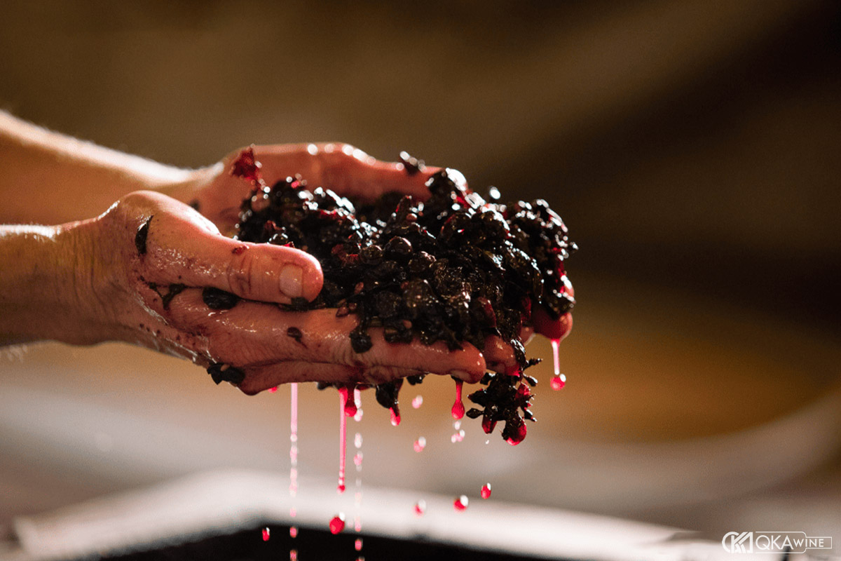 Canxi Cacbonat trong rượu vang