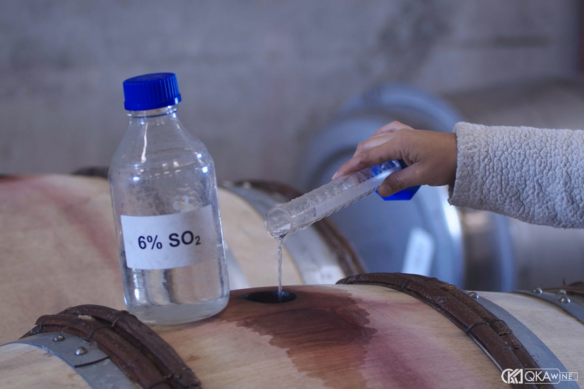 Chất chống vi sinh vật Sulfur Dioxide trong rượu vang