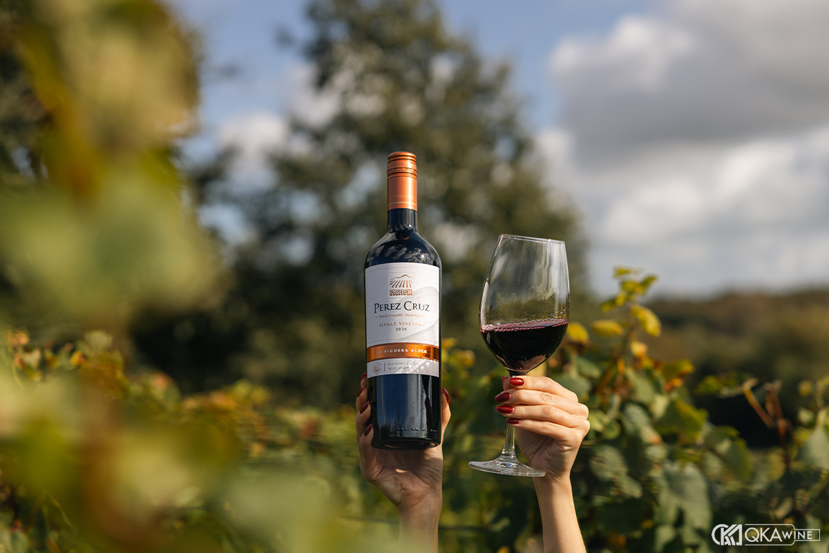 Độ trong và tình trạng rượu vang