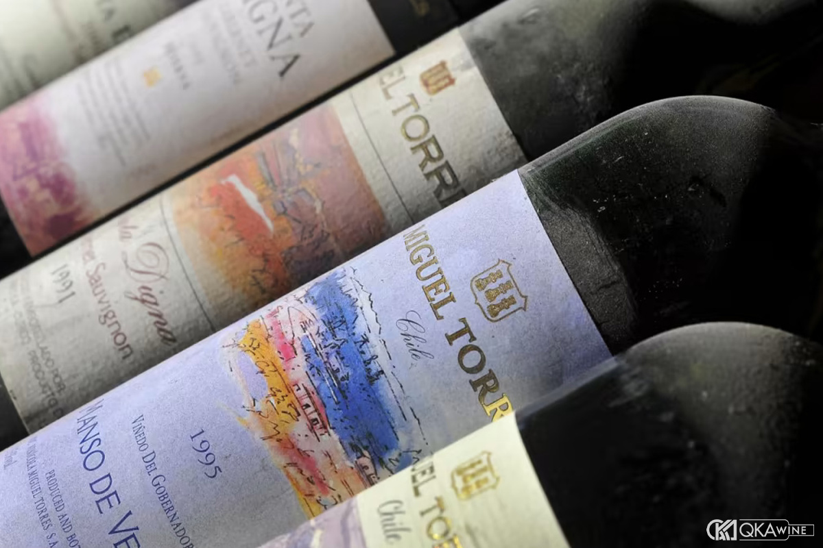 Đôi nét về rượu vang Chile