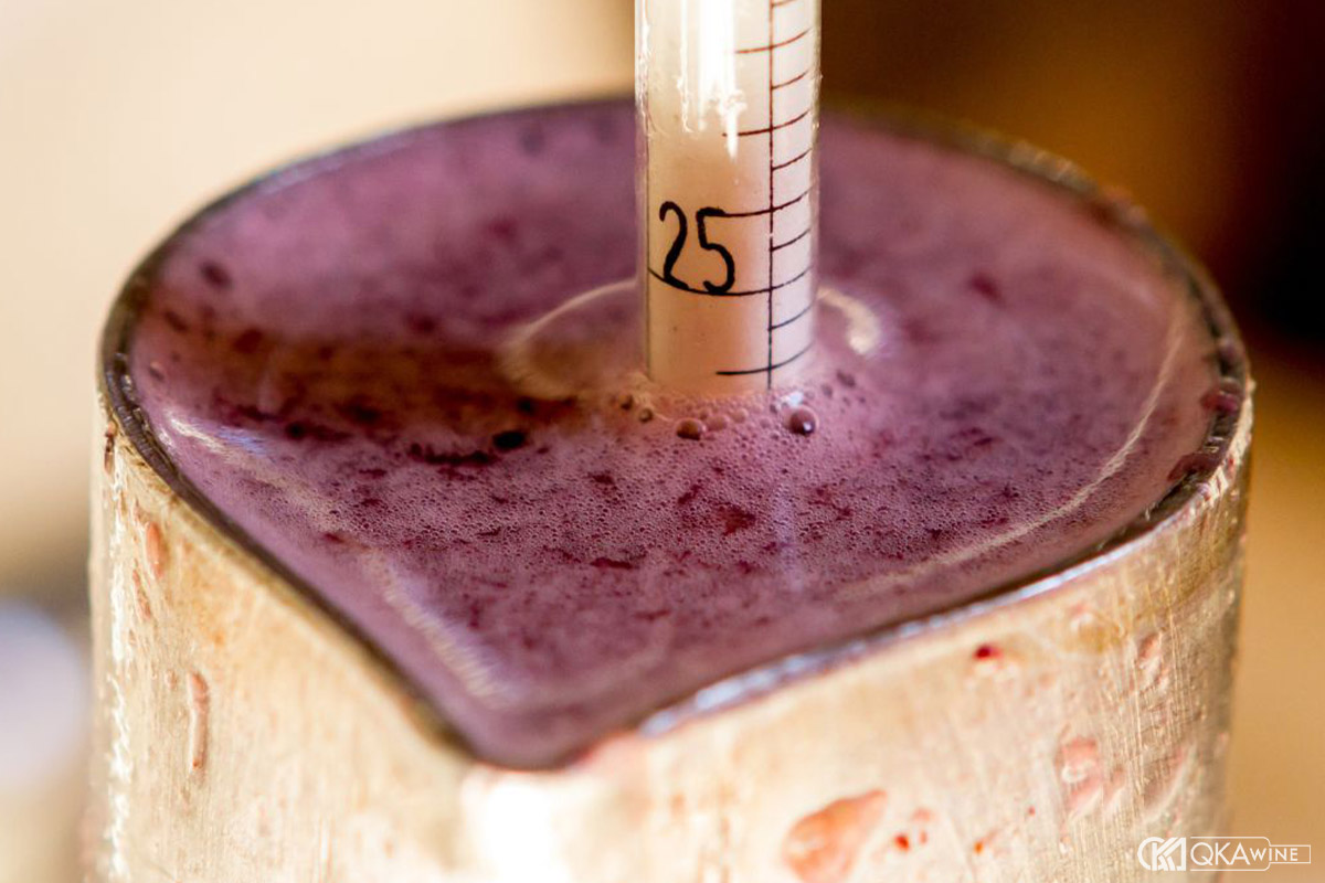 Đường trong rượu vang