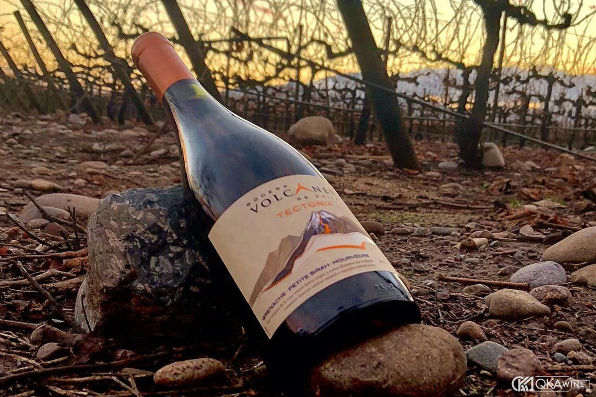 Icon Wines hoặc Ultra Premium