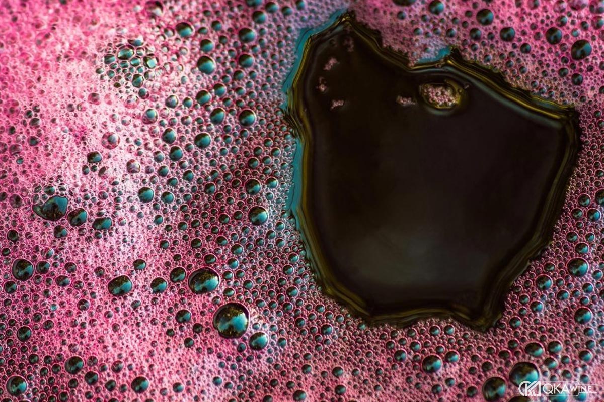 Làm rượu vang nho kiểu Pháp bước 4