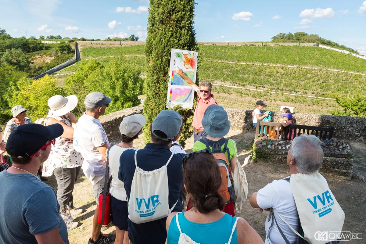 Lễ hội rượu vang Vignes Vins Randos