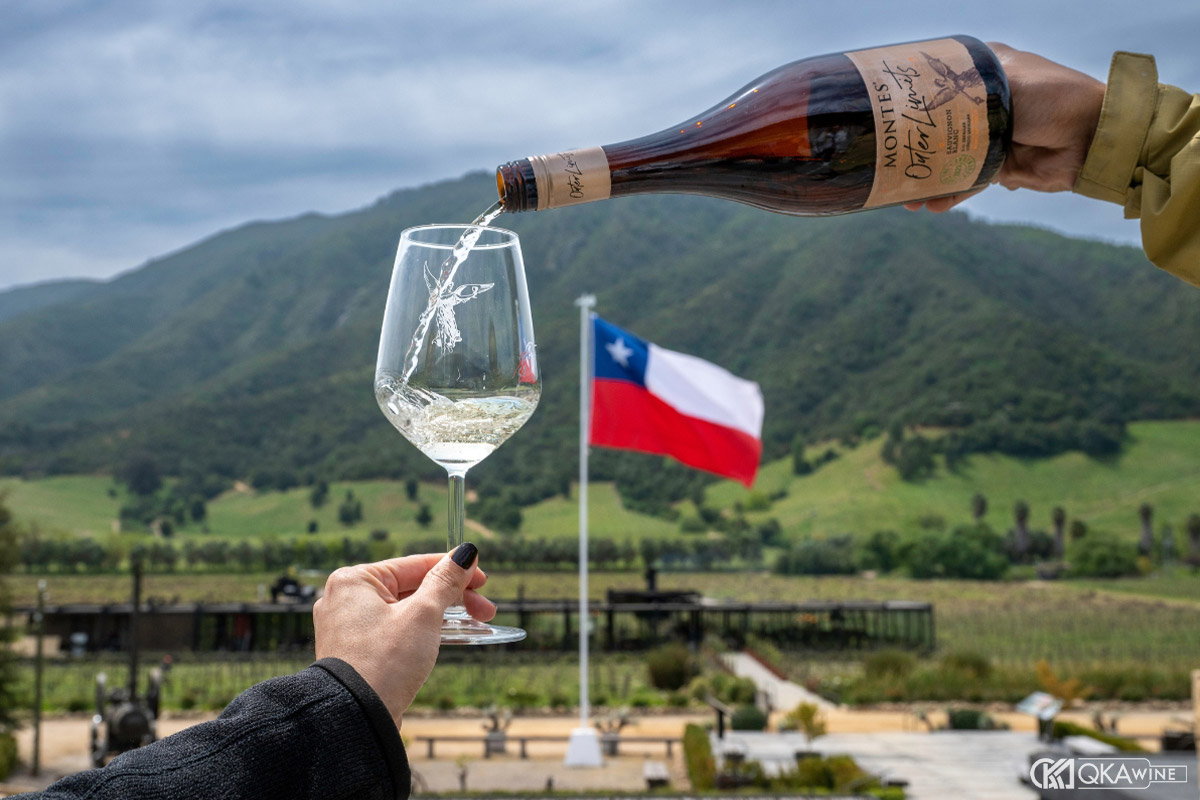 Lịch sử rượu vang Chile