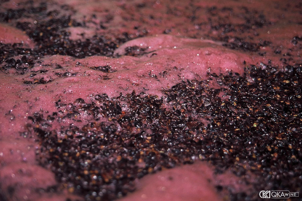 Nấm men trong rượu vang