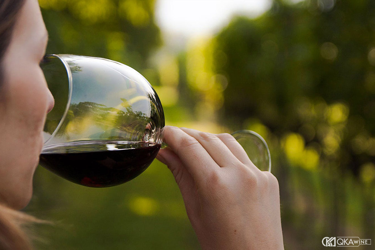 Nếm rượu và cảm nhận vang Chile