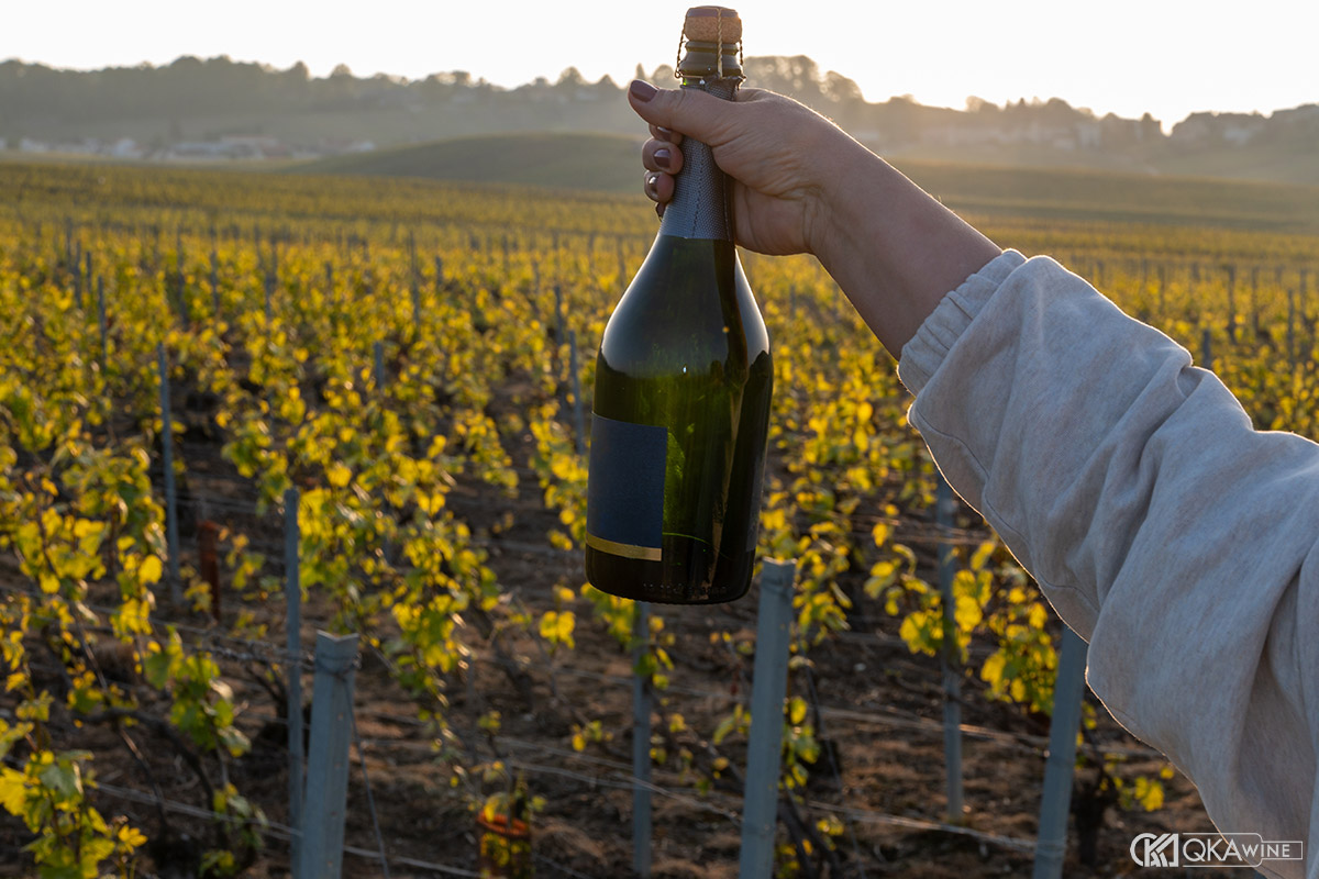 Nguồn gốc và vùng sản xuất Sparkling Wine và Champagne
