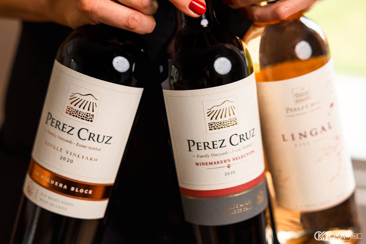 Những thông tin cơ bản trên nhãn rượu vang Chile