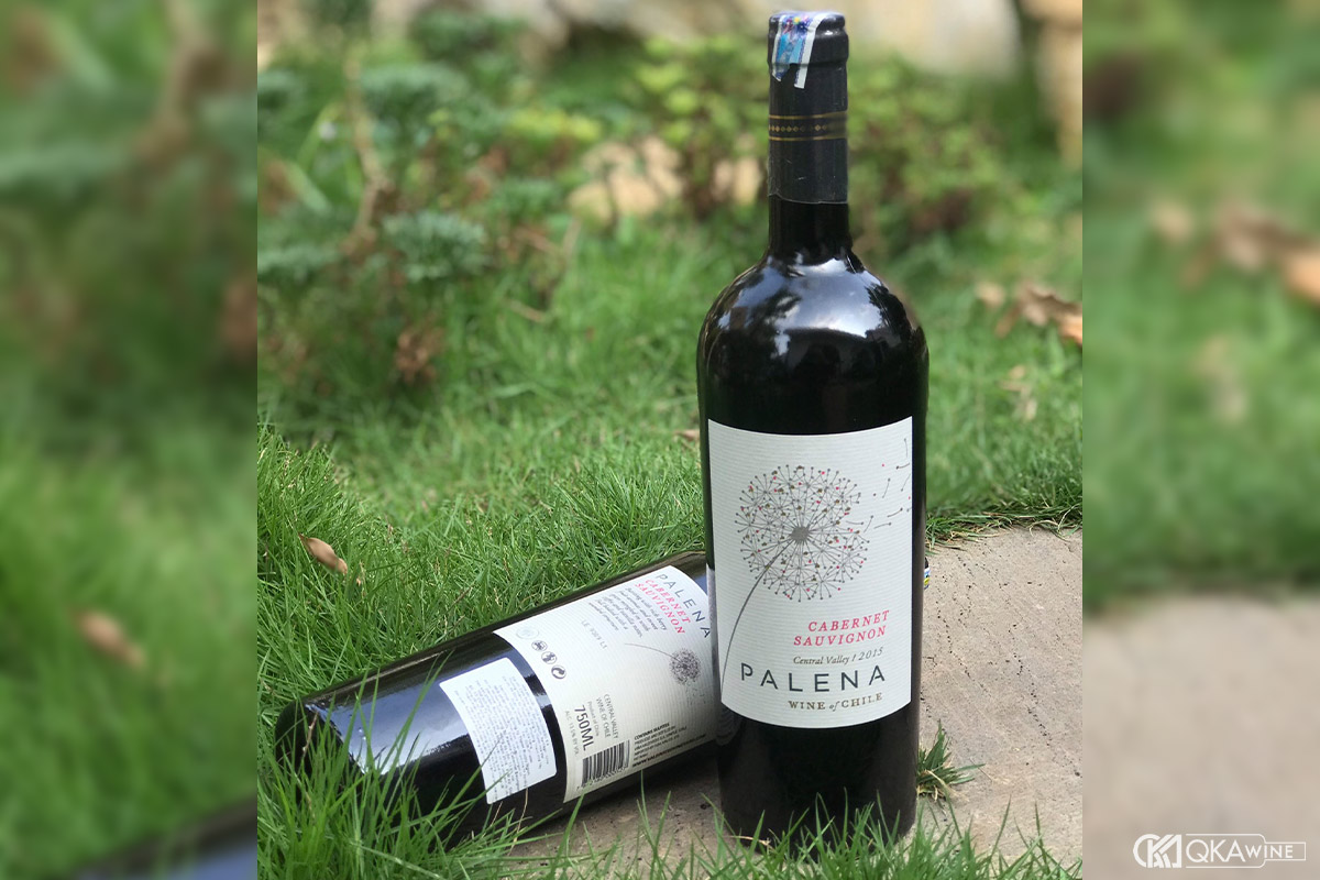 Rượu vang Chile Palena Gran Reserva