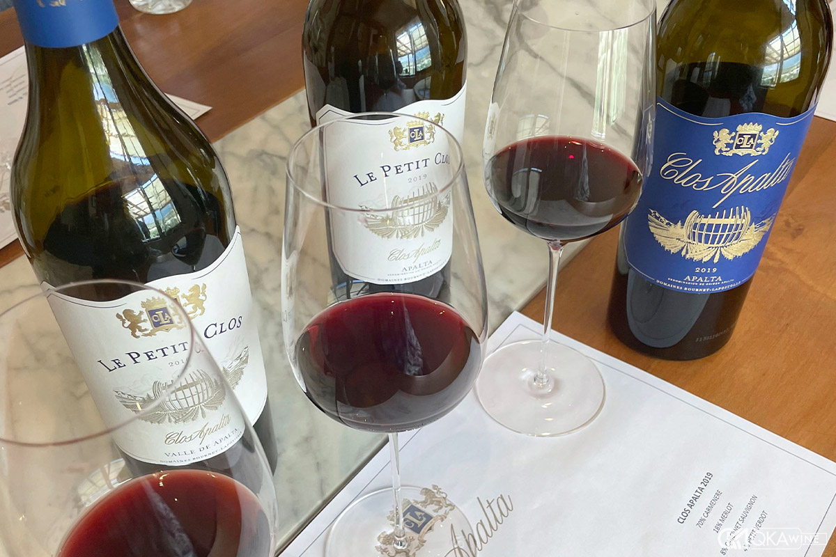 Quan sát rượu vang Chile