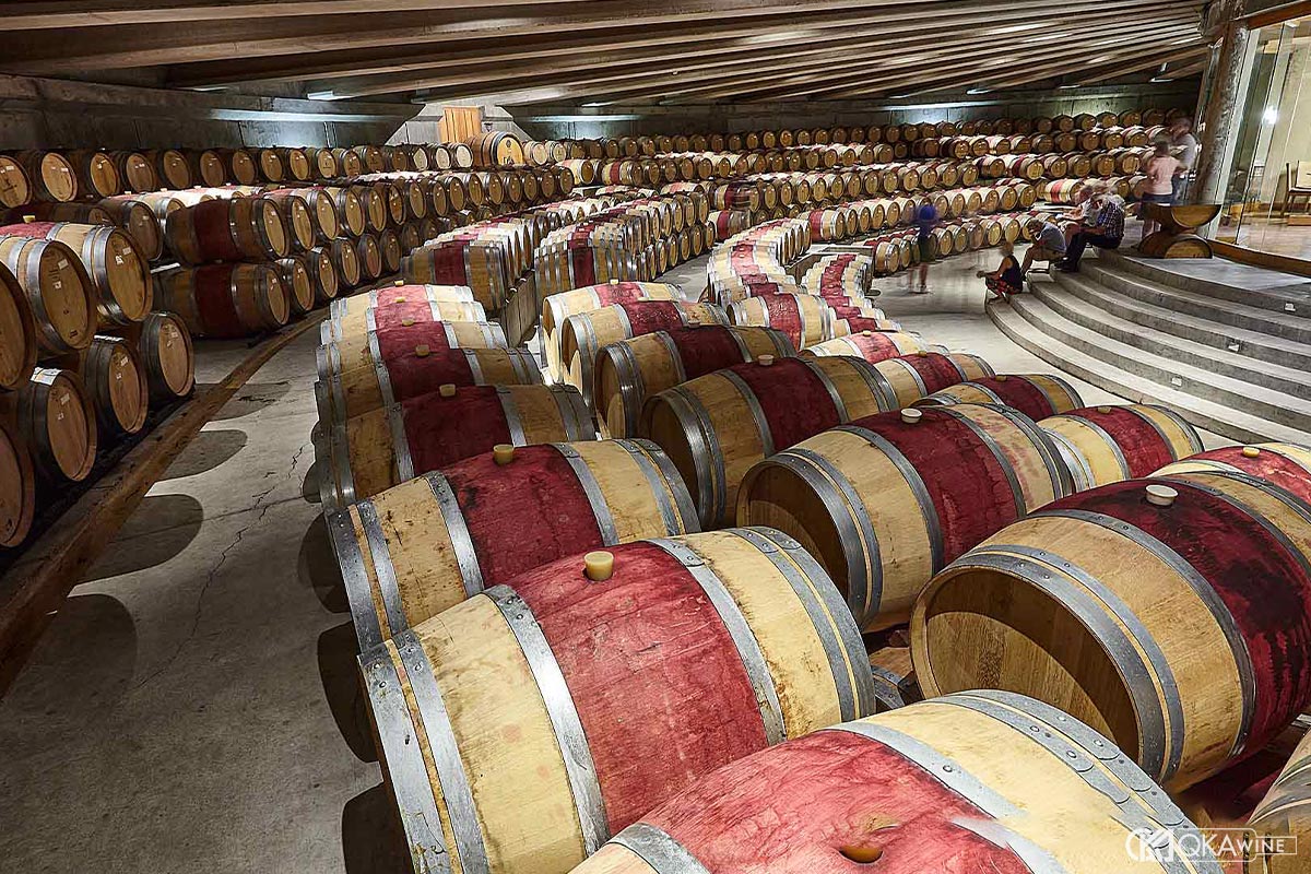 Quy trình sản xuất rượu vang Chile