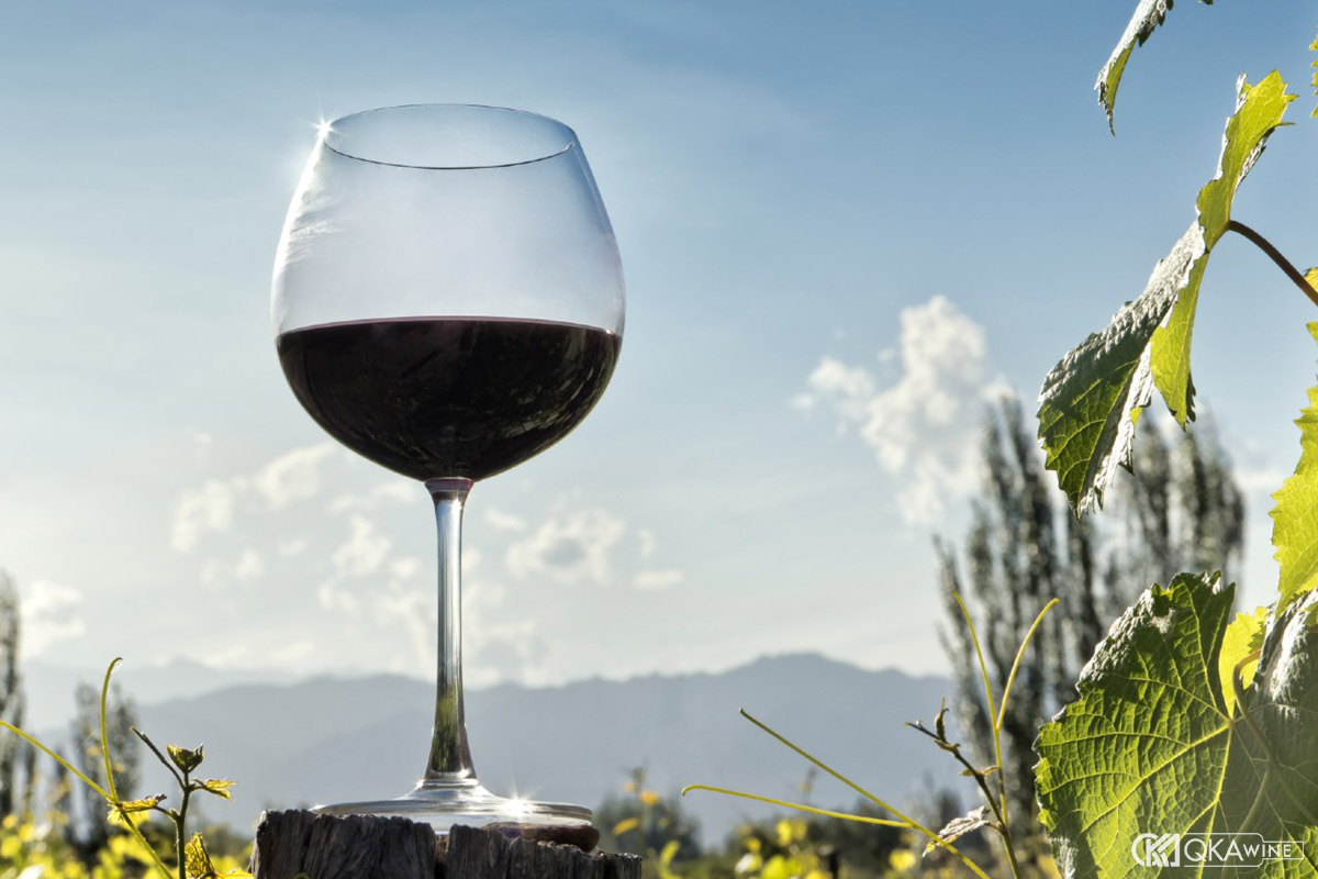 Tại sao bạn cần biết cách chọn rượu vang Chile?