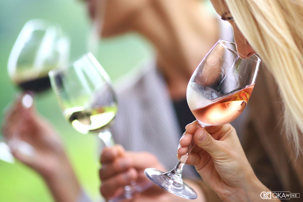 Tận hưởng hương vị vang Chile