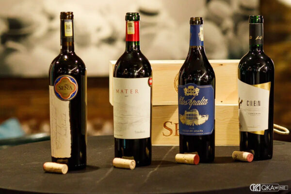 Tìm hiểu rượu vang Chile