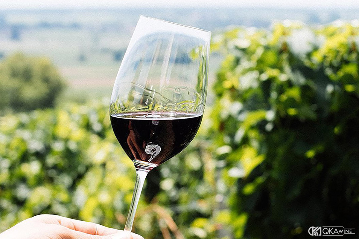 Vì sao rượu vang Pháp Bordeaux ngon và nổi tiếng?