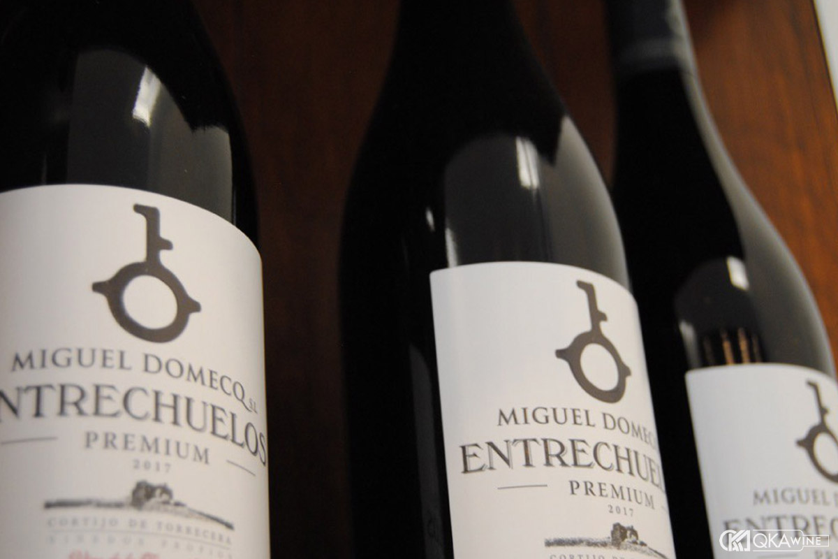 Vino de España hoặc Vino