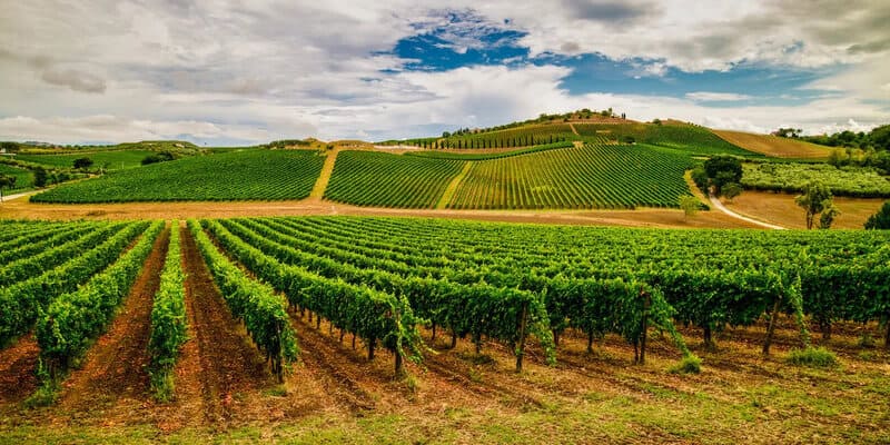Vùng sản xuất rượu vang Ý Abruzzo