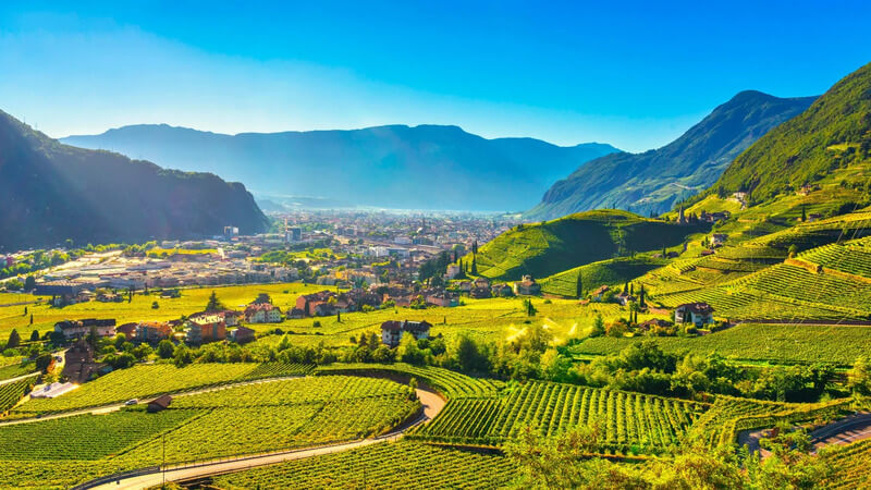 Vùng sản xuất rượu vang Ý Trentino Alto-Adige