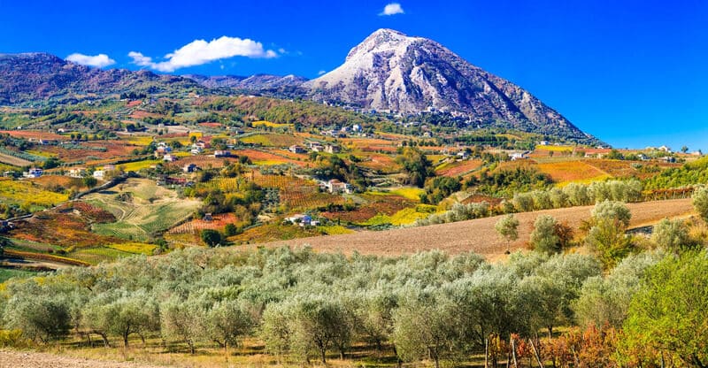 Vùng sản xuất rượu vang Ý Campania