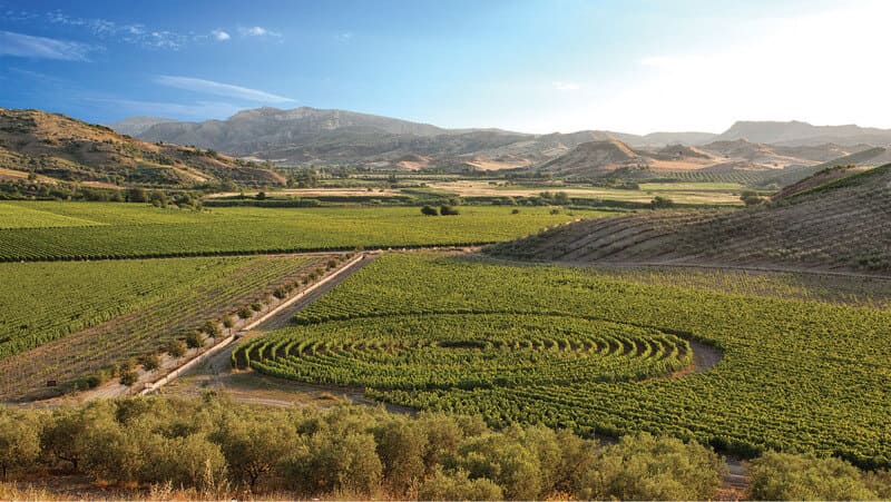 Vùng sản xuất rượu vang Ý Calabria