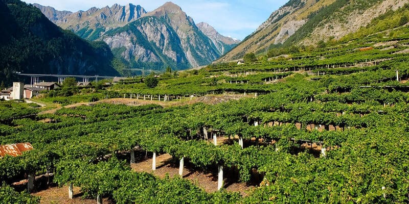 Vùng sản xuất rượu vang Ý Valle d’Aosta