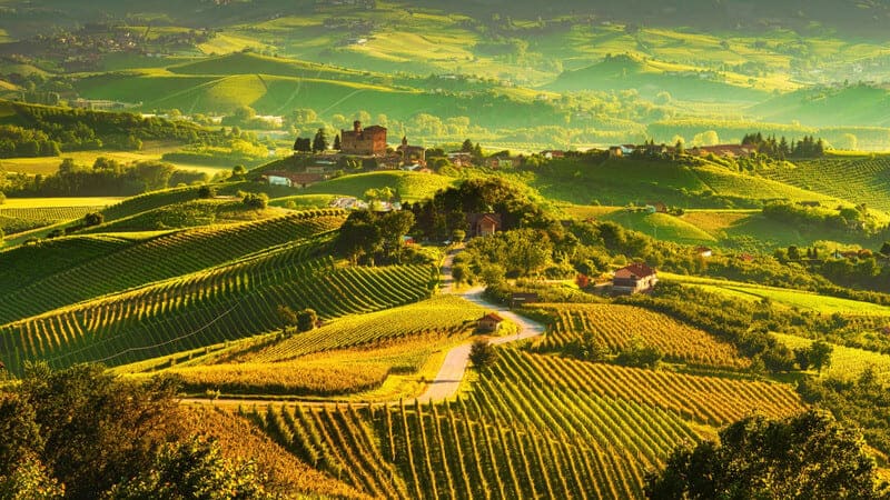 Vùng sản xuất rượu vang Ý Piedmont