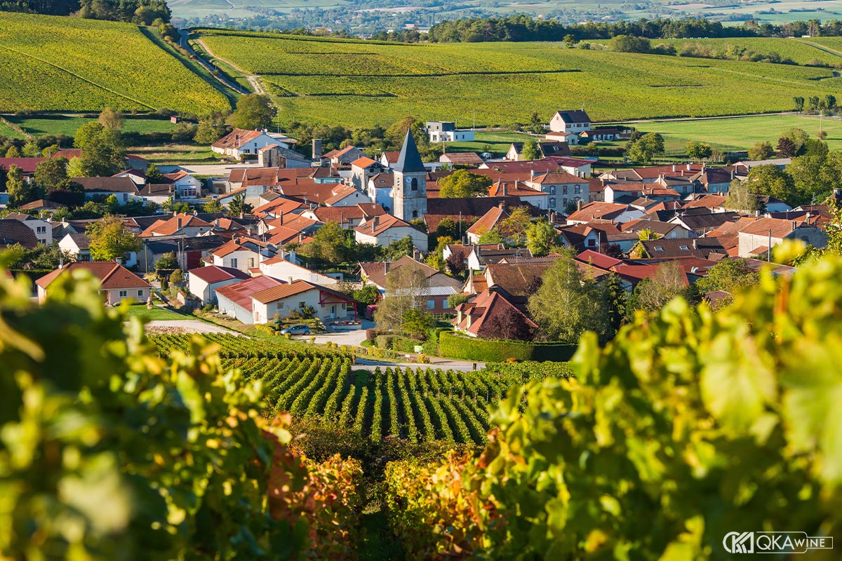 Vùng vang Champagne