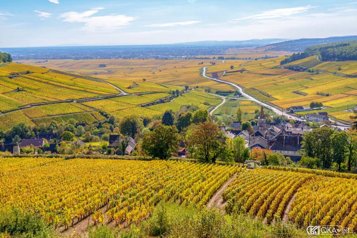 Vùng vang Côte d'Or