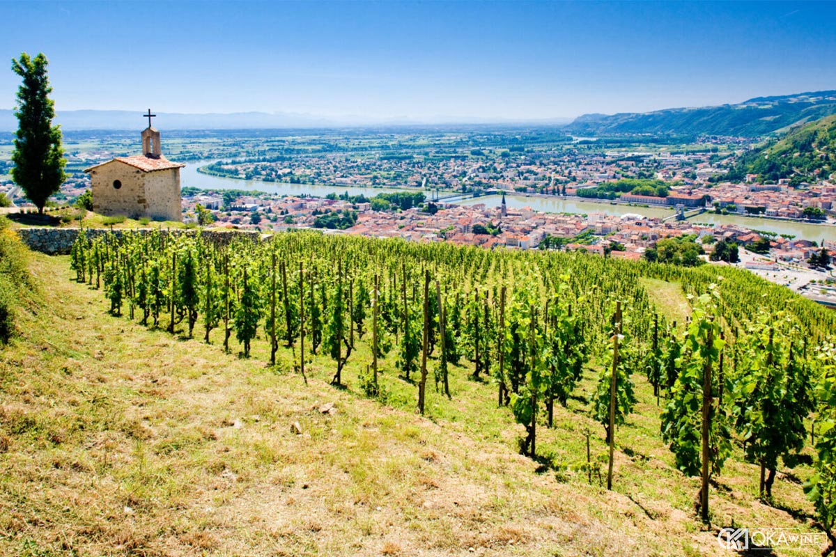 Vùng vang Rhône