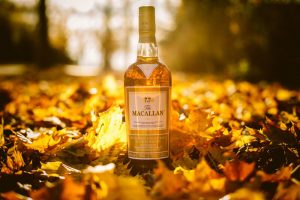 rượu macallan 1824 giá bao nhiêu