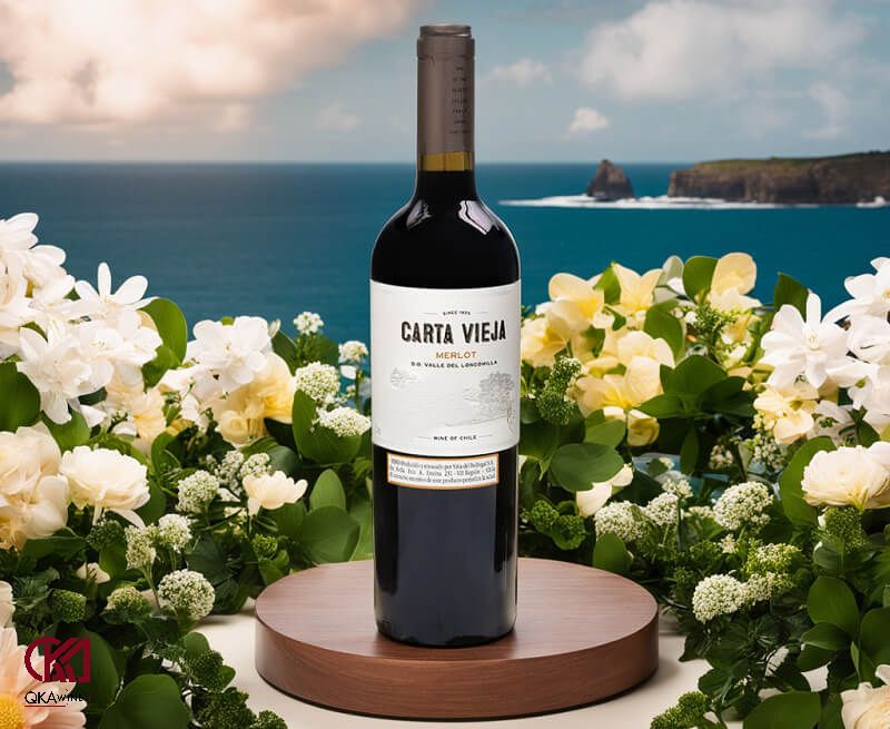 Vang đỏ Chile Carta Vieja ngon