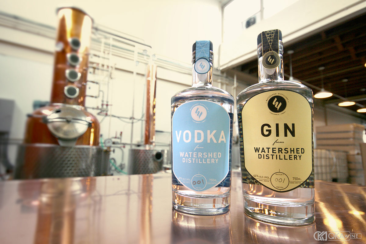 Sự khác biệt giữa Vodka và Gin