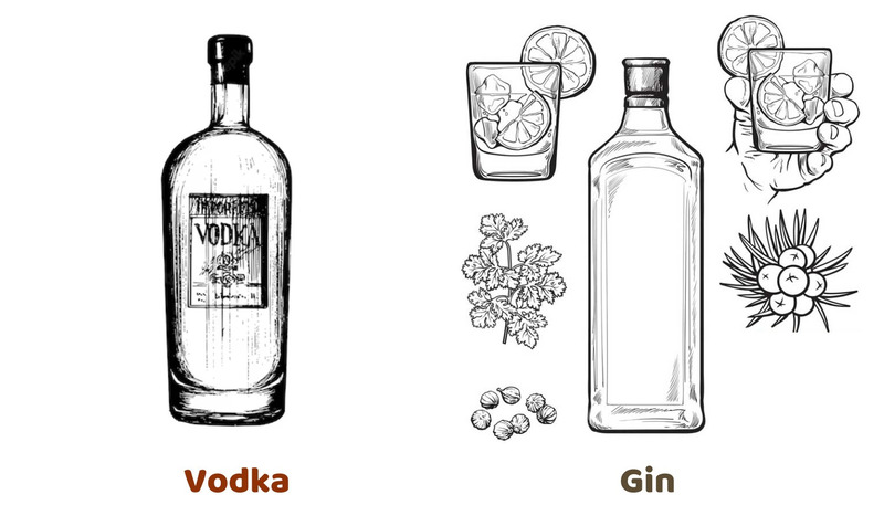Sự khác biết về hương vị Vodka và Gin